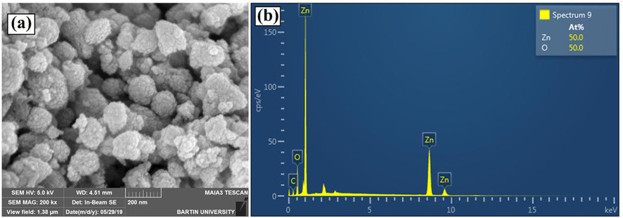 (a) SEM image (b) Energy dispersed spectroscopy (EDS) image of cauliflower shaped ZnO NP’s prepared by Alchemilla vulgaris (Lady’s mantle) leaves.