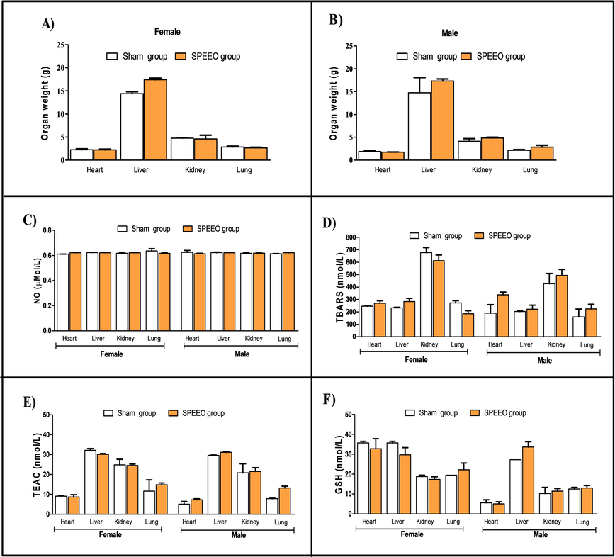 Organ weight and evaluation of oxidative stress parameters of mice treated with 1000 mg/kg of SPEEO or untreated 14 days after treatment. Note: (A) Organ weight of female group; (B) Organ weight of male group; (C) Nitric oxide production in heart, liver, kidney, and lung of both sexes; (D) TBARS levels in heart, liver, kidney, and lung of both sexes; (E) TEAC levels in heart, liver, kidney, and lung of both sexes; (F) GSH levels in heart, liver, kidney, and lung of both sexes. GSH: glutathione; TBARS: Thiobarbituric acid reactive substances; TEAC: Trolox Equivalent Antioxidant Capacity; SPEEO: S. pulcherrimum ethanolic extract ointment.