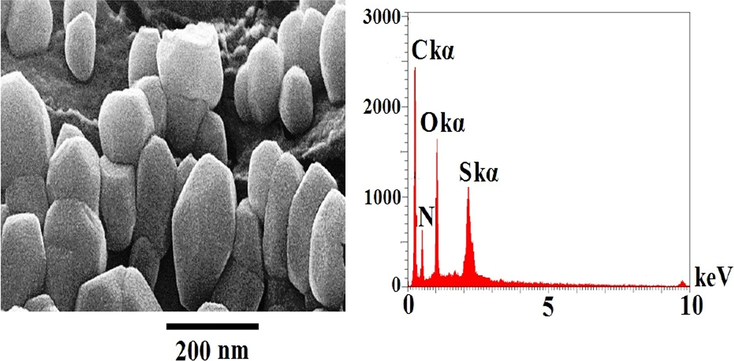 FESEM image and EDX spectrum of Sulfoxen compound.