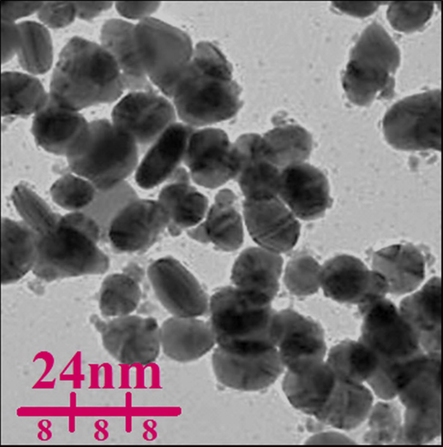 TEM image of AgNPs.