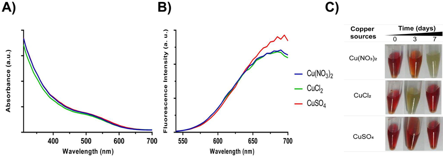 Synthesis of CIS NPs using different copper sources. The biomimetic synthesis was performed during 8 h using indium chloride (8 mM), GSH (40 mM), and different copper salts (2 mM). A) Absorbance and B) fluorescence spectra of CIS NPs produced using Cu(NO3)2, CuCl2, or CuSO4. C) Stability of CIS NPs after 3 and 7 days.