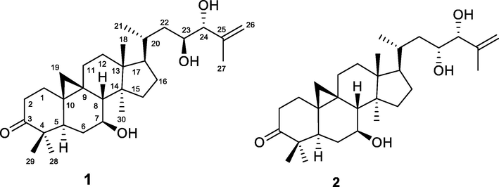 Structures of compounds 1–2.