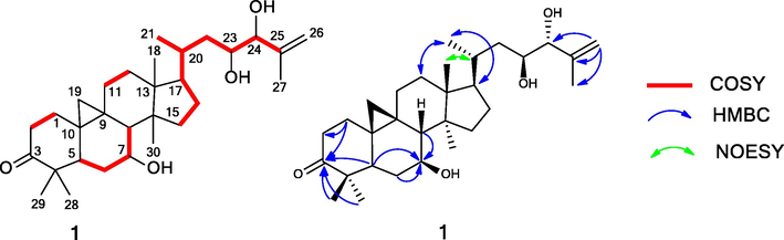 Key HMBC, COSY, and NOESY correlations of 1.