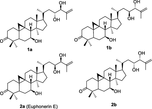 Four possible isomers of 1 and 2.