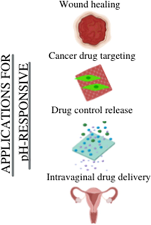 The application of pH-responsive polymer.