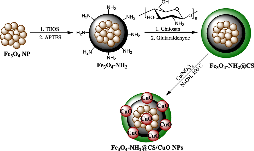 Preparation of Fe3O4-NH2@CS/CuO magnetic nanocomposite.