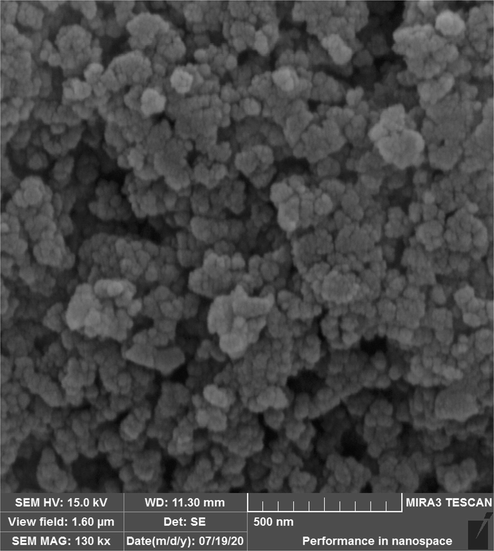 FESEM image of Fe3O4-NH2@CS/CuO nanocomposite.