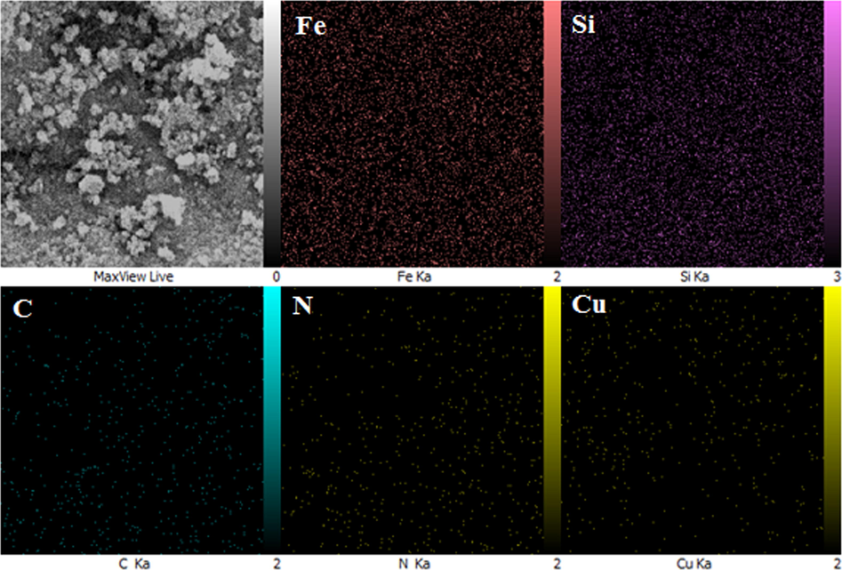Elemental mapping of Fe3O4-NH2@CS/CuO nanocomposite, Fe, Si, C, N and Cu respectively.