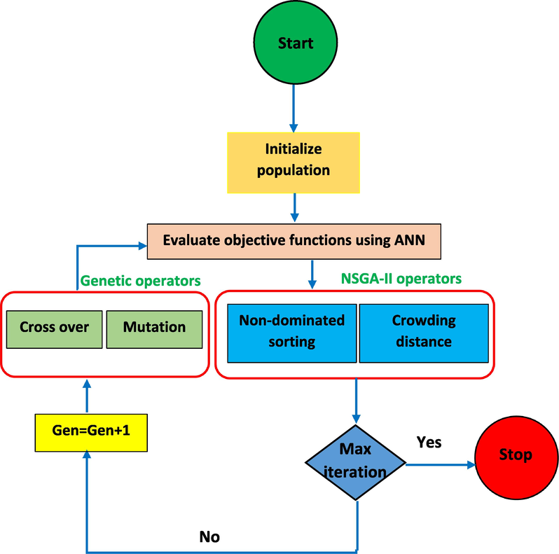 NSGA-II algorithm flowchart.