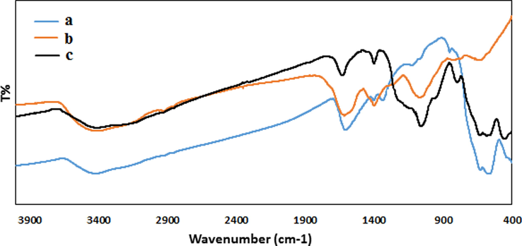 FT-IR spectra of a) Fe3O4, b) Thymbra spicata extract and c) Fe3O4@Thymbra spicata/Au NPs.