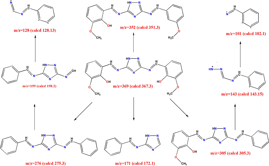Fragmentation pathways of HMBT indicating the calculated and found fragments molecular weights.