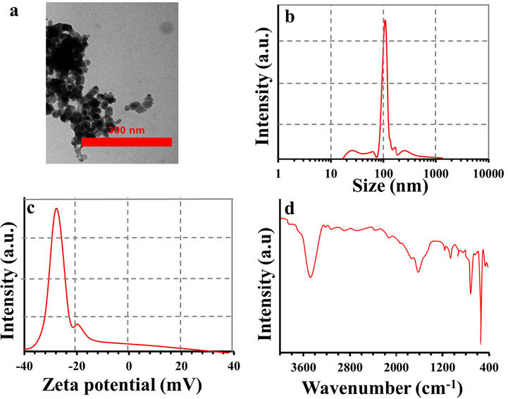 (a) TEM image, (b) hydrodynamic radius, (c) zeta potential, (d) FTIR spectrum of SnO2 NPs synthesized by pulsed laser ablation technique.