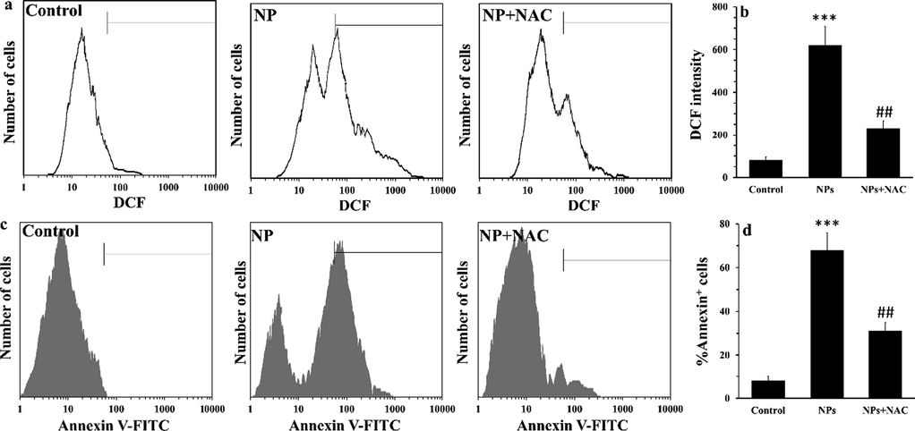 Effect of the SnO2 NPs (10 µg/ml) for 24 hrs on ROS production and apoptosis in MCF-7 cells as quantified by flow cytometry. (a) DCF plot, (b) statistical analysis of DCF intensity, (c) Annexin intensity, (d) statistical analysis of Annexin+ cells. ***P < 0.001 relative to the control group; ##P < 0.01 relative to SnO2 NP-treated group.