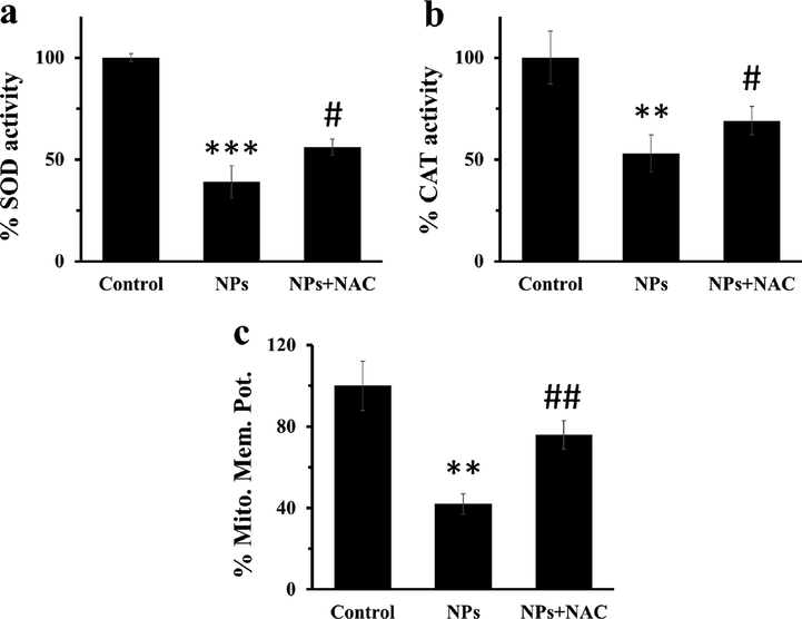 Effect of the SnO2 NPs (10 µg/ml) for 24 hrs on SOD and CAT activity as well as mitochondrial membrane potential in MCF-7 cells. (a) SOD activity, (b) CAT activity, (c) mitochondrial membrane potential. **P < 0.01, ***P < 0.001 relative to the control group; #P < 0.5, ##P < 0.01 relative to SnO2 NP-treated group.