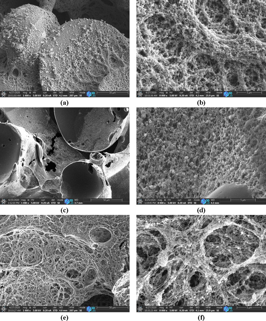 SEM micrographs of (a, b) EF900; (c, d) EFAC1; (e, f) EFAC2.