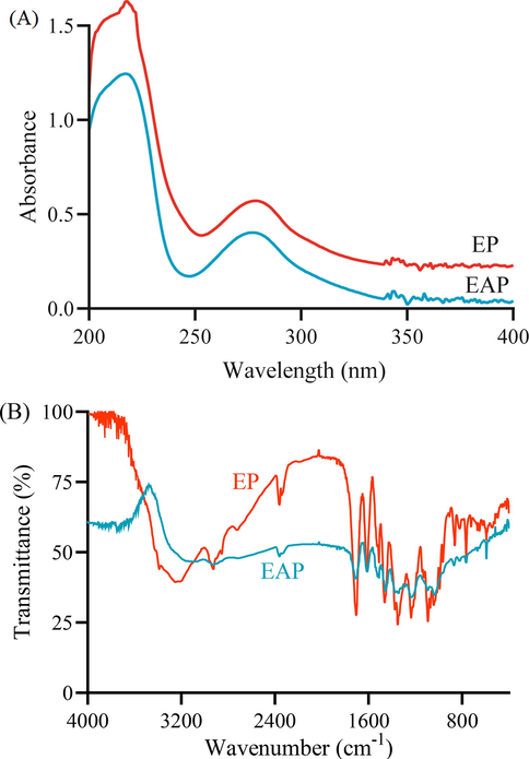 The spectroscopical analysis of ethyl acetate phase and ethanol phase (A) the ultraviolet absorption spectrum (B) infrared absorption spectrum.