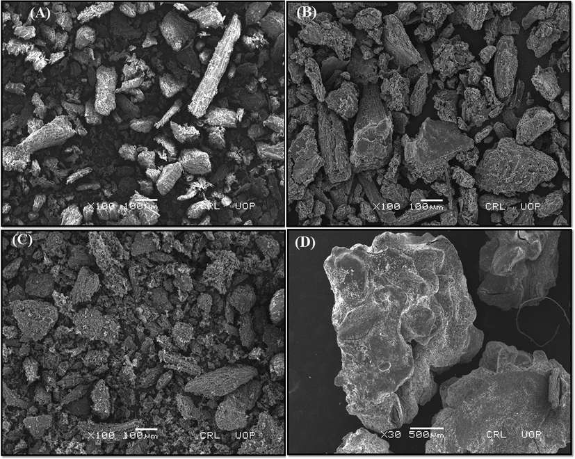 SEM analysis of (A) PH (B) PAN-PH (C) PPY-PH (D) Na-Al-PH biocomposite.