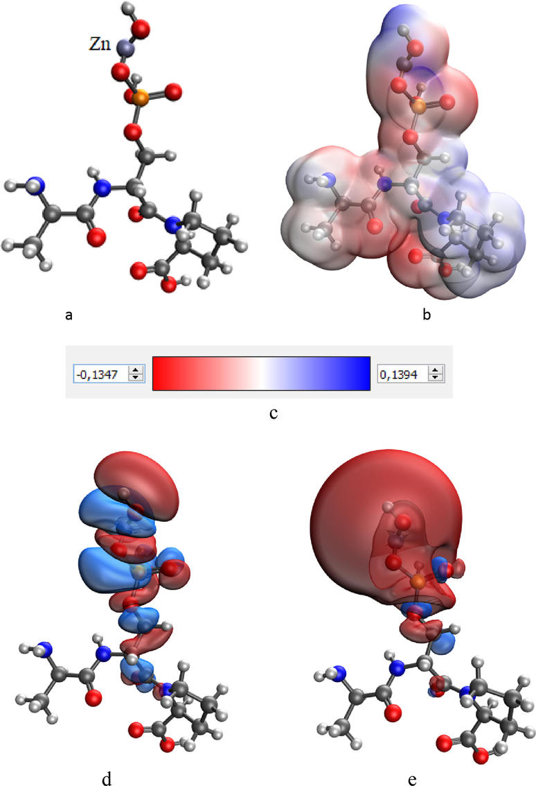 Model of the interaction between Ala-Ser(P)-Pro κ-casein segment containing phosphoric acid and a Zinc atom: the model of the molecular complex (a), the electron density distribution (b), the gradient of the electron density distribution (c) highest occupied molecular orbital HOMO (d) and lowest unoccupied molecular orbital LUMO (e).