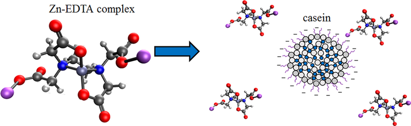 Diagram of the state of dispersion of casein micelles in the presence of Zn-EDTA molecules.