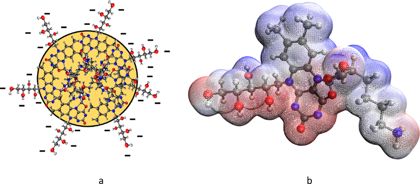 Structure diagram of the Zinc lysinatoriboflavinate micelle (a) electron density distribution in the Zinc lysinatoriboflavinate molecule (b).