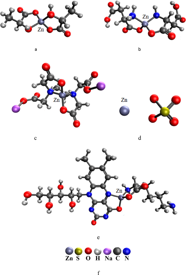 Models of molecules of Zinc -containing compounds: a) Zinc lactate, b) Zinc asparaginate c) Zinc chelate complex molecule with EDTA, d) Zinc sulfate, e) lysinatoriboflavinate Zinc sulfate f) models legend.