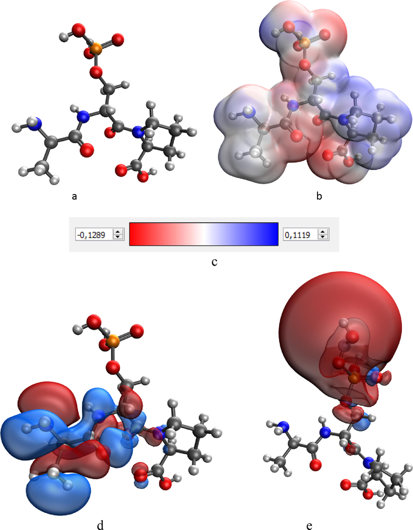 Model of the Ala-Ser(P)-Pro κ-casein segment containing the phosphoric acid residue: (a), electron density distribution (b), electron density distribution gradient (c) highest occupied molecular orbital HOMO (d) and lowest unoccupied molecular orbital LUMO (e).