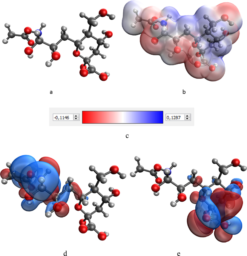 Model of a sialic acid molecule: (a), electron density distribution (b), electron density distribution gradient (c) highest occupied molecular orbital HOMO (d) and lowest unoccupied molecular orbital LUMO (e).
