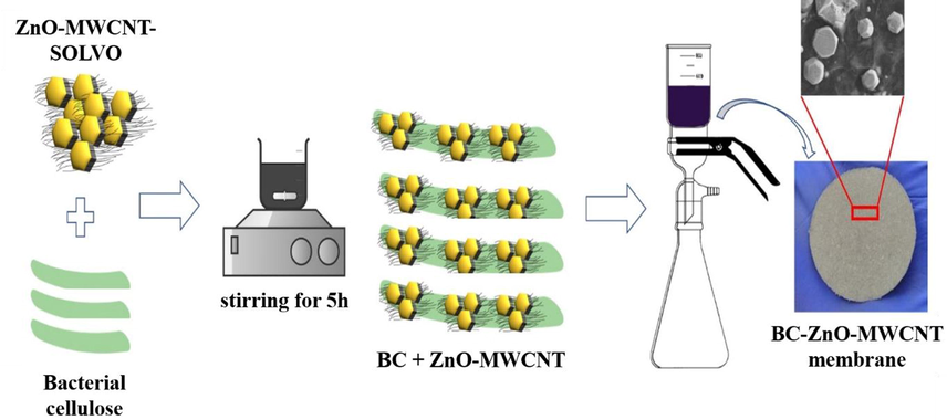 Preparation route of BC-ZnO-MWCNT hybrid membranes.