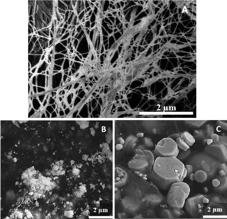 SEM micrographs of neat BC membrane (A) and BC-ZnO-MWCNT hybrid membranes prepared by impregnation technique (IMP 50 - B) and solvothermal method (SOLVO 50 - C).