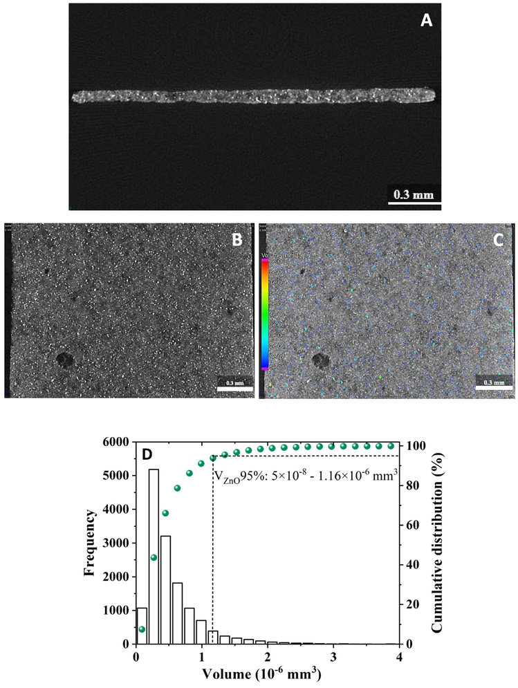 CT analysis of SOLVO 50 hybrid membrane: cross section analysis (A); surface morphology (B), particle volume distribution (C and D).