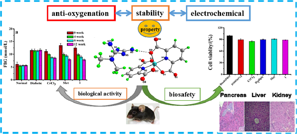 Bioactivity and toxicity evaluation of complex 1 in T2DM C57BL/6 mice.