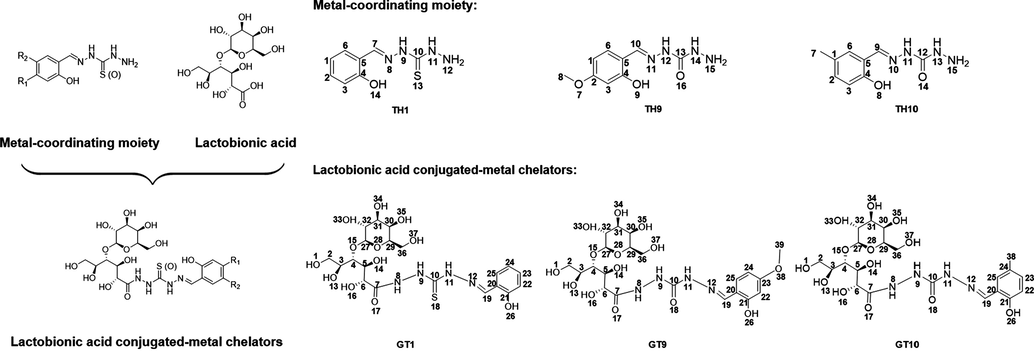 The rational design of hepatocyte-targeted copper chelators. The design strategy of hepatocyte-targeted copper chelators through lactobionic acid conjugating.