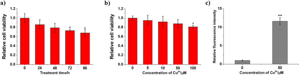Construction of high-copper treated hepatocellular carcinomas model (HC HepG2 cells). (a) After incubating HepG2 cells with 100 μM Cu2+ for 0, 24, 48, 72 and 96 h, the cell viability was evaluated using commercial MTS kit. (b) After incubating HepG2 cells with 0, 5, 10 50 and 100 μM Cu2+ for 48 h, the cell viability was evaluated using commercial MTS kit. (c) The HepG2 cells were incubated with 50 μM Cu2+ for 48 h, washed with PBS three times, and then treated with 5 μM Cu2+ fluorescent probe (Rhodamine 6G hydrazide) for another 1 h to characterize the intracellular Cu2+ contents. All experiments were normalized by respective control data. Data are mean of triplicate samples ± SD (*P < 0.05, **P < 0.01, ***P < 0.001; unpaired Student’s t test), and all error bars are SD.