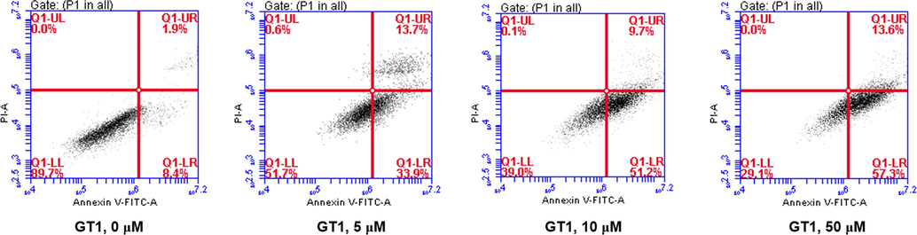 Promotion of copper-deposited hepatocellular carcinomas apoptosis by GT1. After constructing the high-copper cell model, the HC HepG2 cells were incubated with 0, 5, 10 and 50 μM GT1 for another 24 h. For chelator treatment, the same amount of DMSO (5‰) was added as a control group, because DMSO was used as a co-solvent. Flow cytometric analysis of cell apoptosis was carried out with Annexin V and propidium iodide staining.