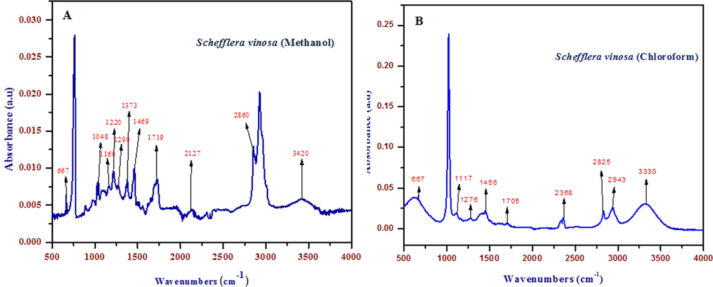FTIR spectrum analysis of methanol and chloroform leaf extract of Schefflera vinosa. (A) Chromatogram of ME (B) Chromatogram of CE. Both ME and CE chromatogram represented similar infra-red spectrum (IR) profile probably due to presence of polar nature of molecules in extracts. Intense bands were observed at various frequencies which indicate the existence of several metabolites like N-H, O-H, C-O, C-N, C-H, C=O, C≡C and C-O-H in the extract.