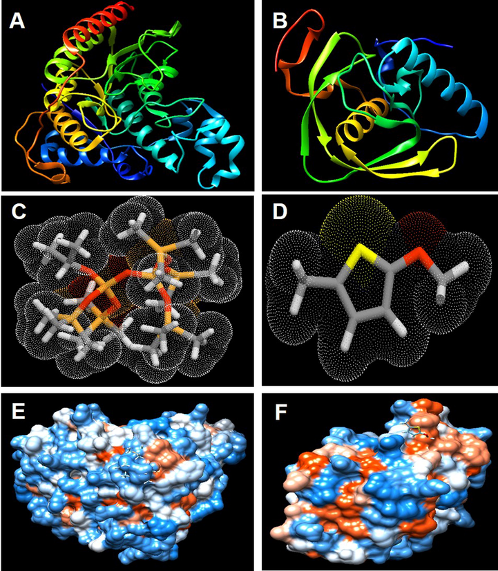 Molecular docking view: (A&B) Predicted models of receptor enzymes HDAC (4LXZ protein) and PDF (5CY8 protein) of M. oryzae and Xoo; (C&D) Prepared ligands of GC–MS molecules 3-Isopropoxy-1,1,1,7,7,7-hexamethyl-3,5,5-tris (trimethylsiloxy) tetrasiloxane and 2-Methoxy-5-methylthiophene; (E&F) ligand and protein (receptor) interaction with 4LXZ protein with 3-Isopropoxy-1,1,1,7,7,7-hexamethyl-3,5,5-tris (trimethylsiloxy) tetrasiloxane and 5CY8 protein with 2-methoxy-5-methylthiophene.