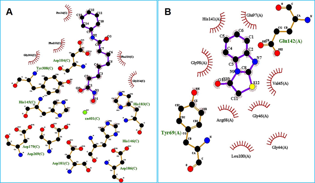 2D representation of Ligplot intermolecular interaction analysis: (A) PubChem CID 553025 with 4LXZ of M. oryzae (B) PubChem CID 141615 with 5CY8 of Xoo.