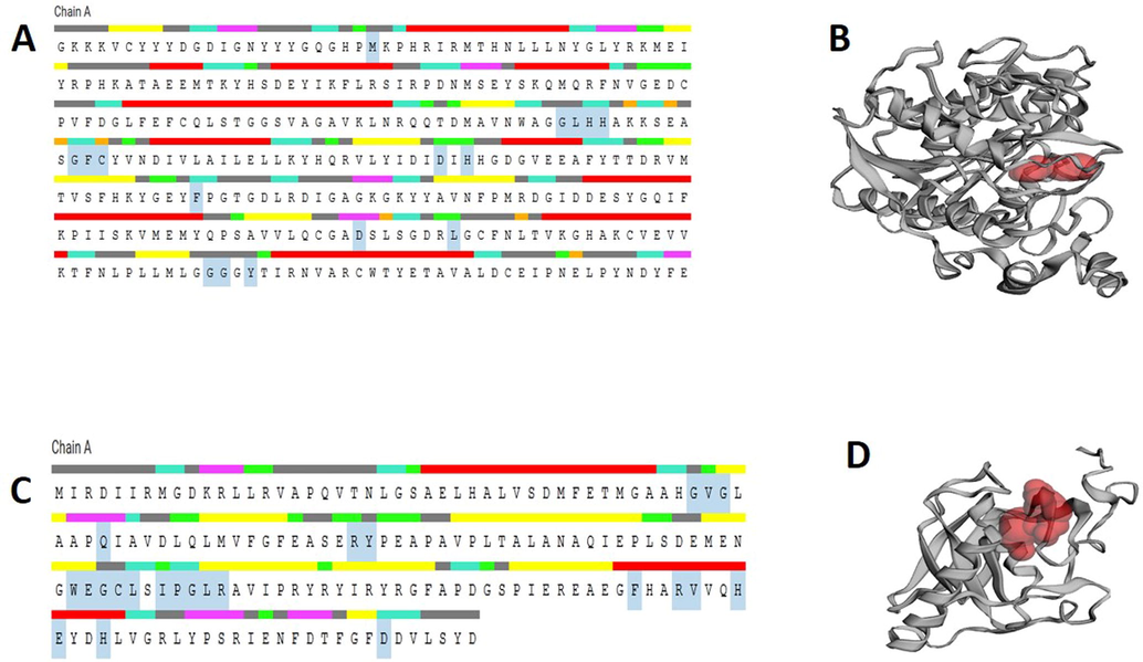 The main user interface surface of the ligand binding pocket, computed by CASTp server (A) the sequence panel of 4LXZ (B) the pocket panel of 4LXZ of M. oryzae (C) the sequence panel of 5CY8 (b) the pocket panel of 5CY8 of Xoo.