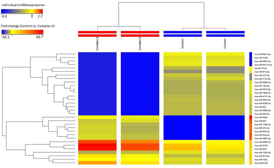 Supervised hierarchical clustering analysis based on 32 differentially expressed miRNAs following treatment with complex 3.