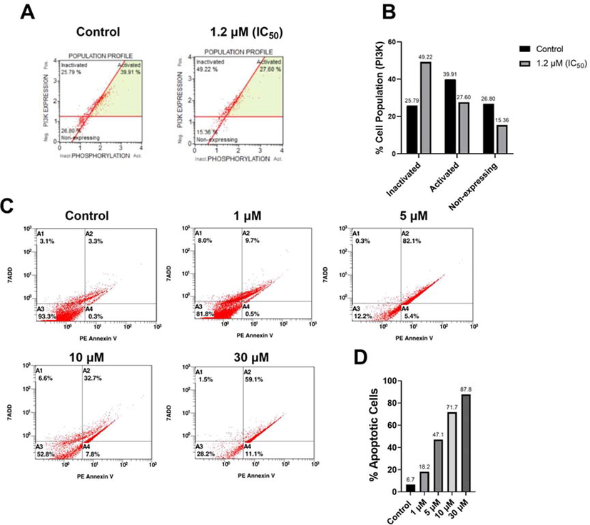 Influence of complex 3 on PI3K deactivation and apoptosis induction in A549 cells. A) Flow cytometry figures illustrating PI3K expression and activity in control and complex 3-treated samples. B) Percentages of cell populations in the three investigated PI3K statuses: inactivated, activated, and non-expressing cells in control and complex 3 treated samples. C) Flow cytometry figures showing the apoptosis status in control, 1 µM, 5 µM, 10 µM, 30 µM complex 3-treated groups. D) Total percentage of apoptotic cell populations in the treated groups.