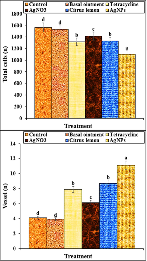 The number of total cells and vessels in groups treated with basal, tetracycline, AgNO3, Citrus lemon leaf aqueous extract and Ag nanoparticles ointments. Different letters show a significant difference between test groups (p ≤ 0.01).