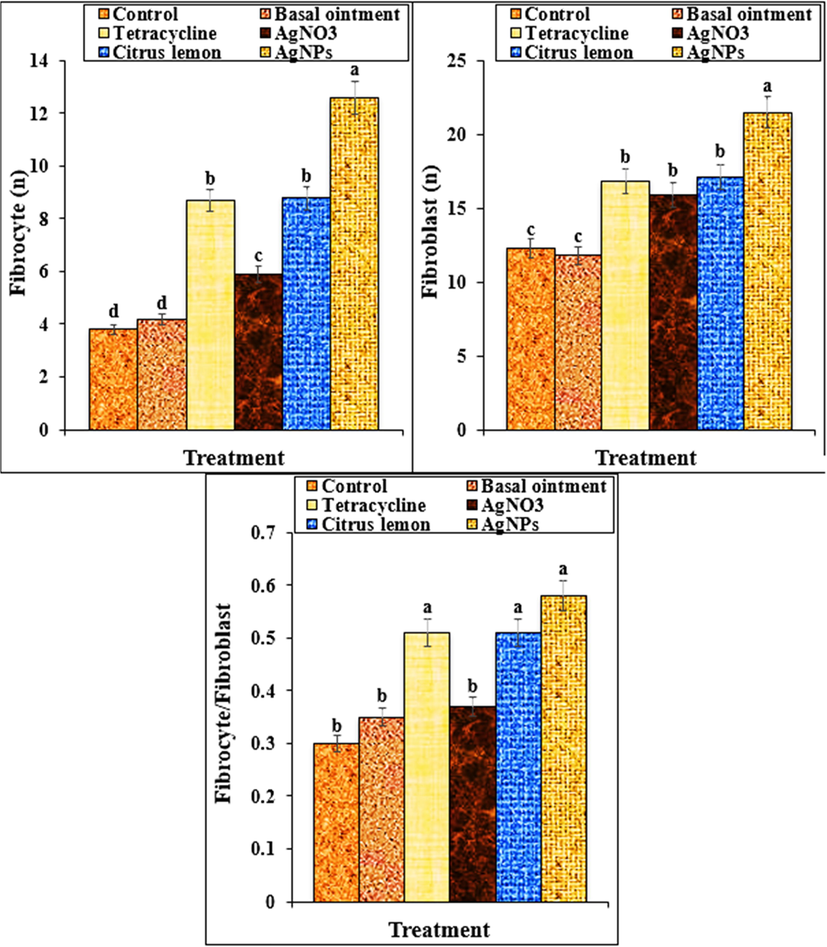 The number of fibrocytes and fibroblasts and the ratios of fibrocyte/fibroblast in groups treated with basal, tetracycline, AgNO3, Citrus lemon leaf aqueous extract and Ag nanoparticles ointments. Different letters show a significant difference between test groups (p ≤ 0.01).