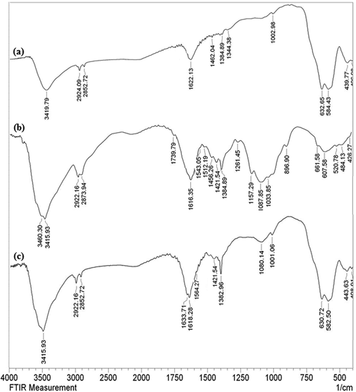 Schematic fabrication of magnetic Fe3O/CS/Cu(II) nanocomposite.