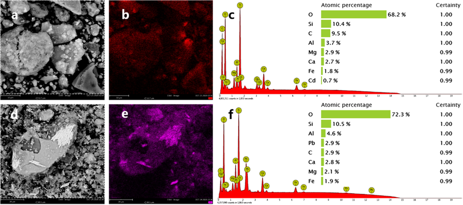SEM-EDS analysis of BFA-GP loaded with Cd2+ (a, b, c) and Pb2+ (d, e, f).