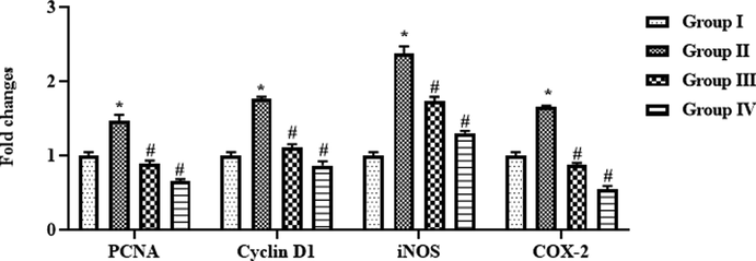 Effect of SAP-Ally-NCs on the mRNA expressions of signaling molecules in the colon tissues of experimental rats, Results were depicted as the mean ± SD from all the discrete groups. One-way ANOVA was applied to illustrate the variations between groups successively Tukey–Kramer’s multiple comparison test. Note: ‘*’ P < 0.05 compared with control and ‘#’ P < 0.05 compared with DMH-provoked group. Group I: control, Group II: 20 mg/kg DMH-challenged animals, Group III & IV: DMH animals supplemented with 10 and 15 µM of SAP-Ally-NCs, respectively.