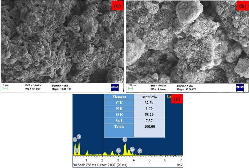 (a-b). Lower and higher magnification of FE-SEM image and (c) EDX spectrum of SAP- Ally-NCs.