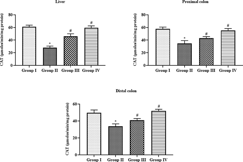 Effect of SAP-Ally-NCs on the CAT activity in the liver and colon tissues of experimental rats, Results were depicted as the mean ± SD from all the discrete groups. One-way ANOVA was applied to illustrate the variations between groups successively Tukey–Kramer’s multiple comparison test. Note: ‘*’ P < 0.05 compared with control and ‘#’ P < 0.05 compared with DMH-provoked group. Group I: control, Group II: 20 mg/kg DMH-challenged animals, Group III & IV: DMH animals supplemented with 10 and 15 µM of SAP-Ally-NCs, respectively.