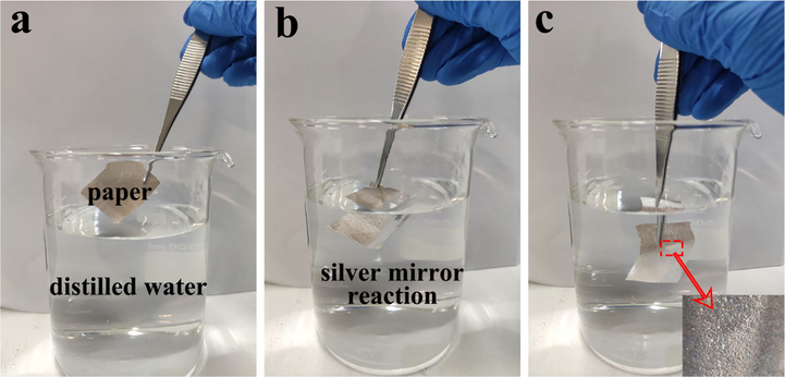 (a) Paper mulching film without distilled water,;(b) paper mulching film just immersed in distilled water; (c) paper mulching film in distilled water (partial enlarged view).