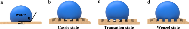 Wetting state of water droplets on different surfaces; (a) Young's state; (b) Cassie state; (c) Transition state; (d) Wenzel state.