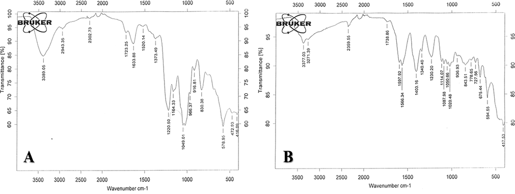 FTIR spectra of fucoidan (A) and synthesized fucoidan-capped copper oxide nanoparticles (CuO-Fu-NPs) (B) in the wavelength range of 400–4000 cm−1.